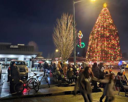 Tree Lighting
