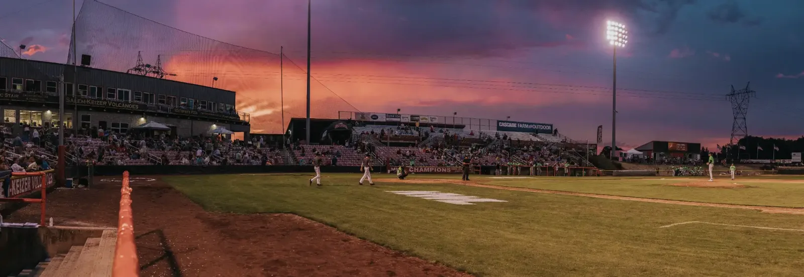 Sunlit ballpark grandstands and outfield