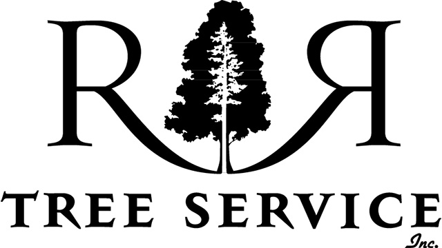 RR Tree Service logo