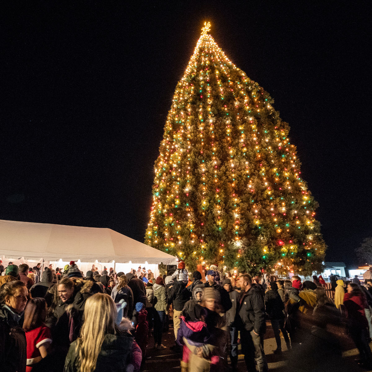 Keizer Holiday Tree Lighting 2018 with people enjoying the event 