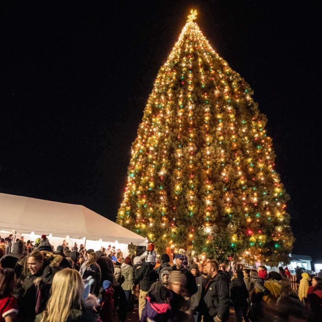 Keizer Chamber Tree Lighting w/ City of Keizer and Keizer Fire Department