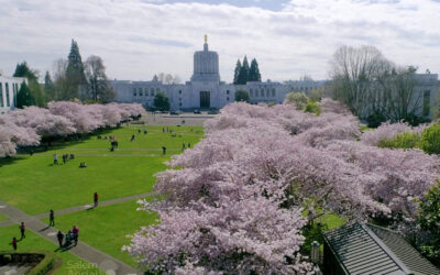 Keizer Chamber of Commerce Government Affairs Report for the February Legislative Session