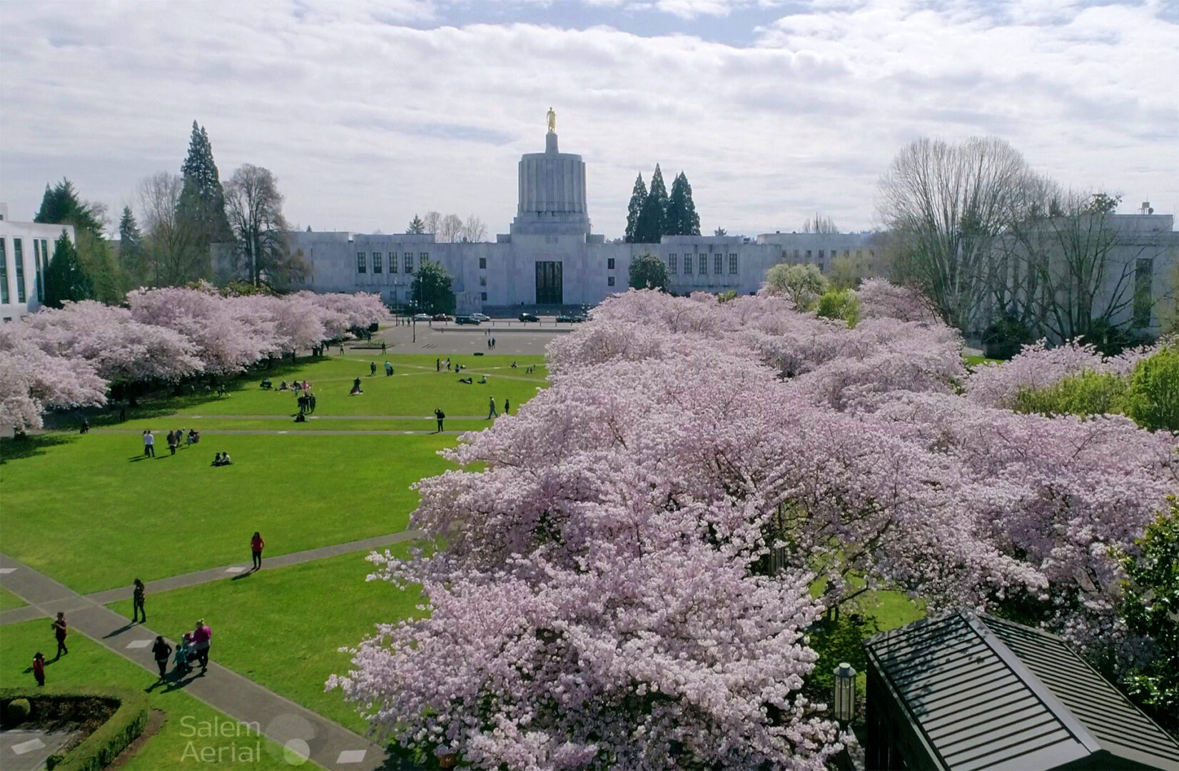 State Capitol during Cherry Blossom Season